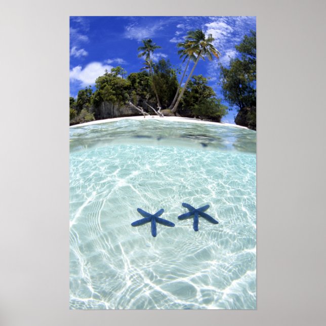Poster Etoiles de mer, Îles Rocheuses, Palau 2 (Devant)