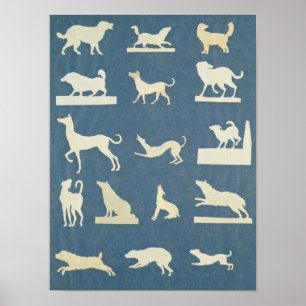 Poster Étude des chiens