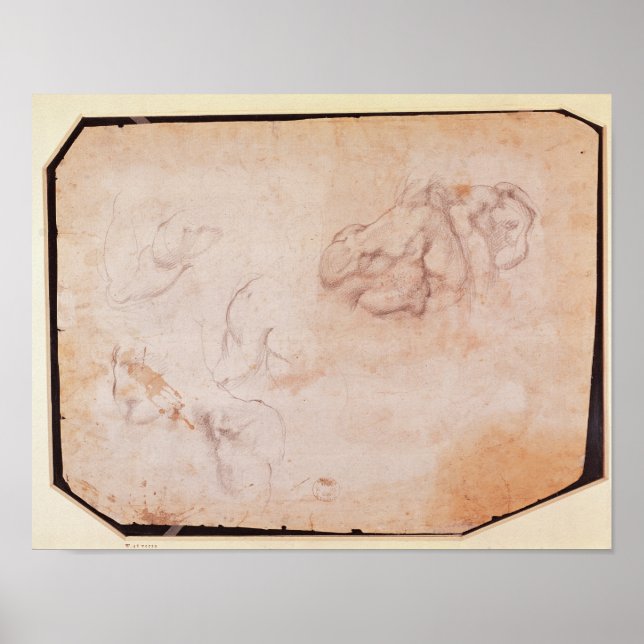 Poster Étude des muscles (Devant)