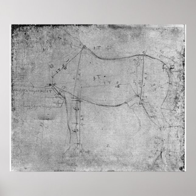 Poster Étude d'un cheval (Devant)