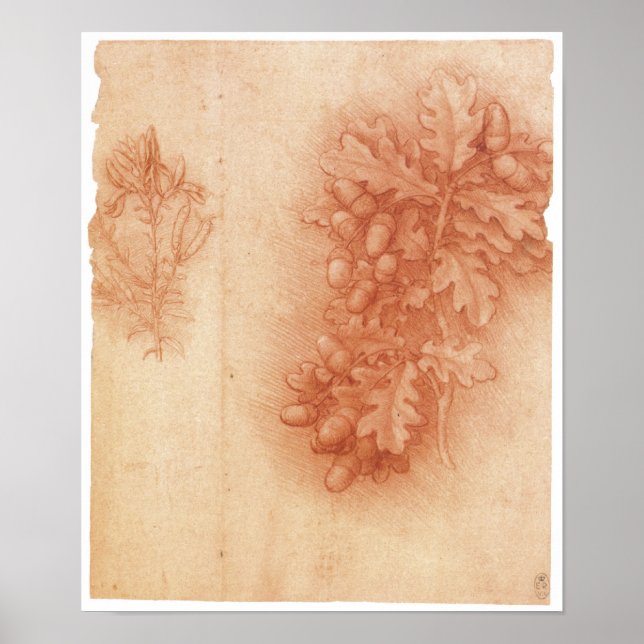 Poster Étude pour la peinture perdue, Leda, Da Vinci (Devant)