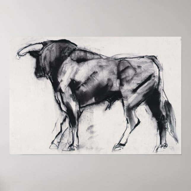 Poster Étude Toro Azul (Devant)