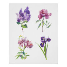 Études d'aquarelle botanique – Lilas, Pivoine, Iri