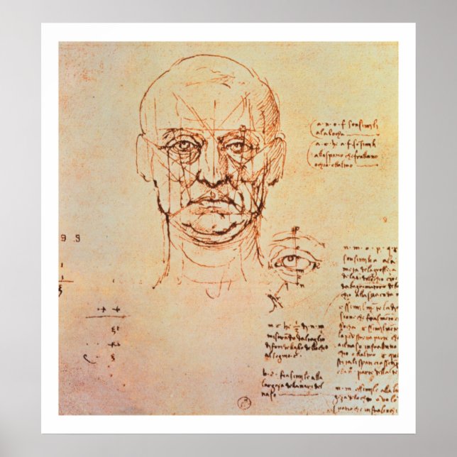 Poster Études des proportions du visage et de l'oeil, 14 (Devant)
