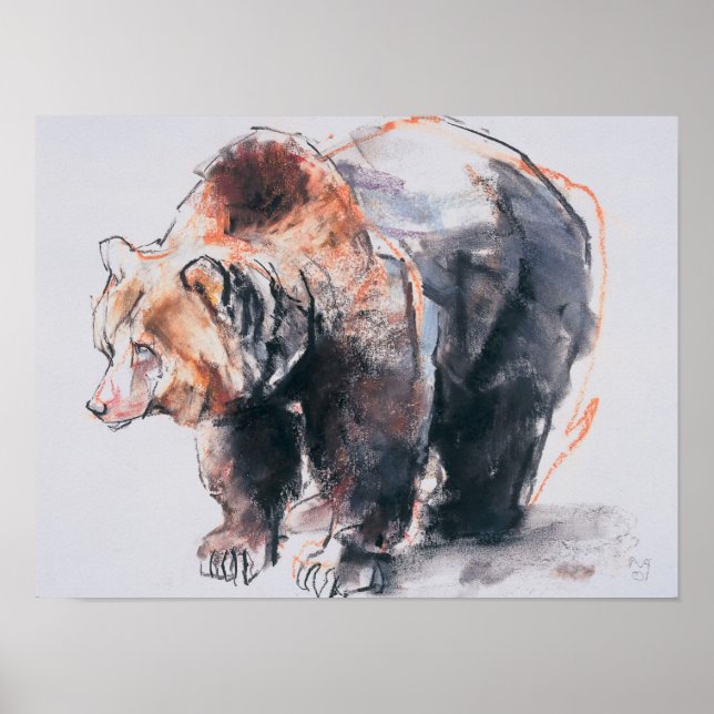 Poster European Brown Bear 2001 (Devant)