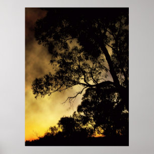 Poster Eveningscapes