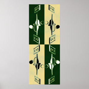 Poster Évolution de Yin et de Yang