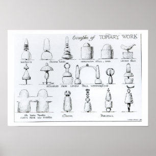 Poster Exemples du travail topiaire, 1902 (gravure) (b/w