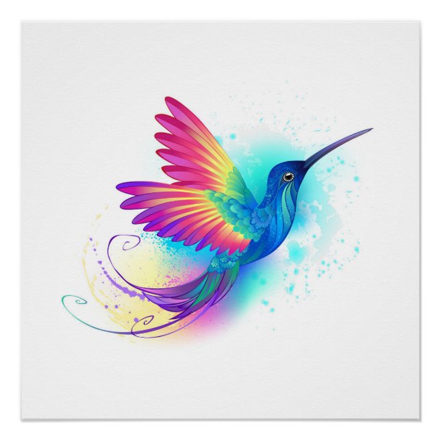 Poster Exotic Rainbow Hummingbird (Devant)