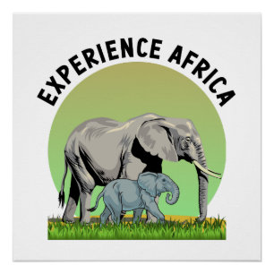 Poster Expérience Afrique