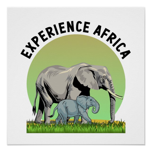 Poster Expérience Afrique (Devant)