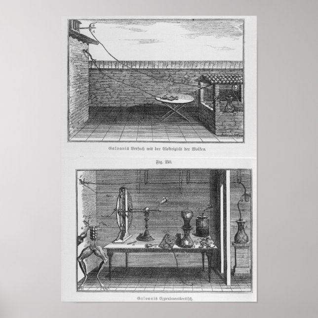 Poster Expérience sur les grenouilles par Louis Galvani (Devant)