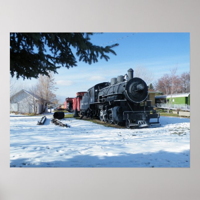 Poster Express polaire (Devant)