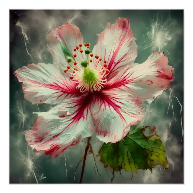Poster Exquis Abutilon (Devant)