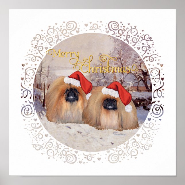 Poster Extérieur et A propos (Devant)