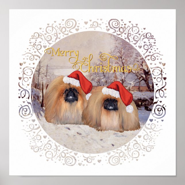 Poster Extérieur et A propos (Devant)