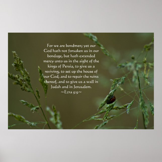 Poster Ezra 9:9 (Devant)