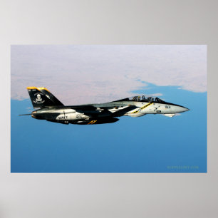Poster F14 Jolly Rodger sur l'Irak