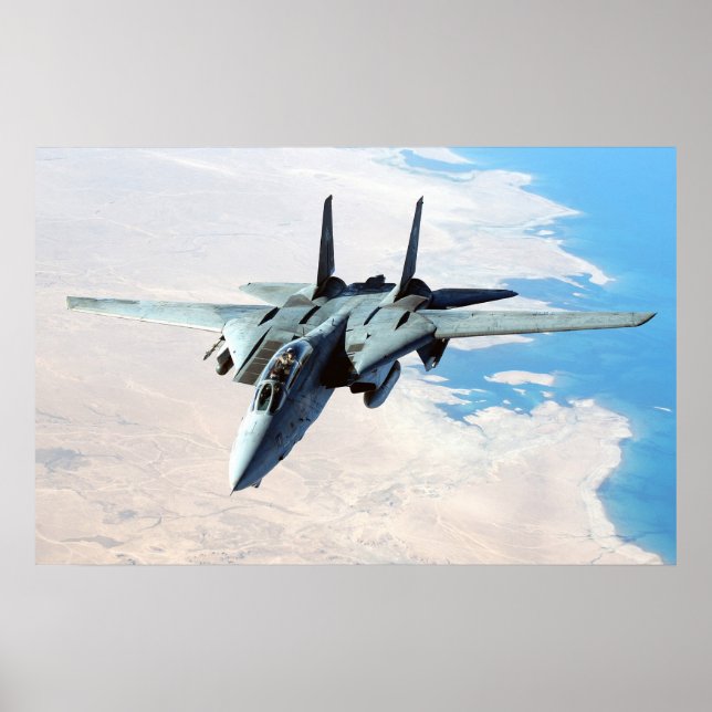 Poster F-14 Tomcat (Devant)