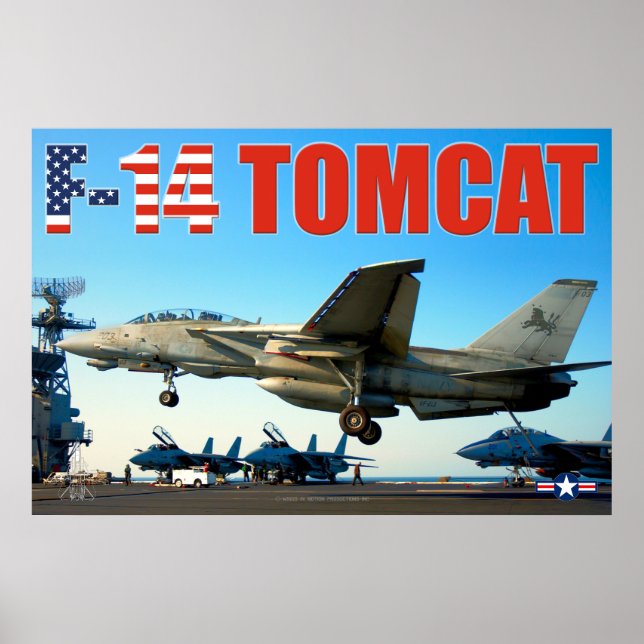 POSTER F-14 TOMCAT "HOOK DOWN" (Devant)