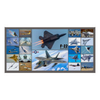 F-22 RAPTEUR "MONTAGE"