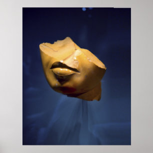 Poster Face de fracture d'une reine