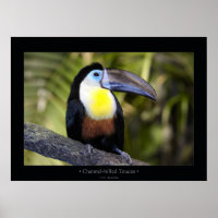 Facturé par canal Toucan