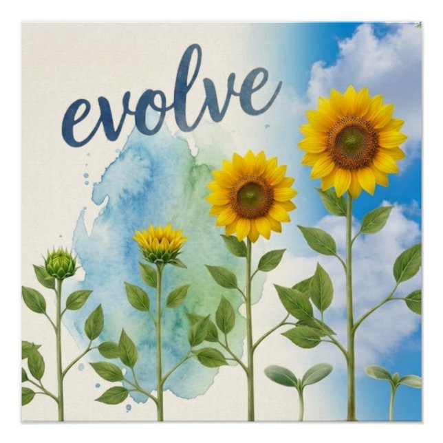 Poster Faire évoluer Tournesol  (Devant)