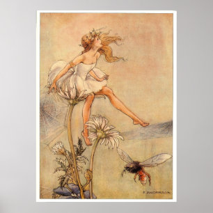 Poster Fairy on a Daisy - Imprimer