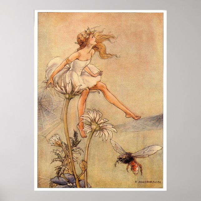 Poster Fairy on a Daisy - Imprimer (Devant)
