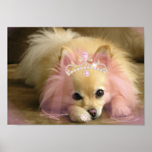Poster fairy princess dog with diamond crown