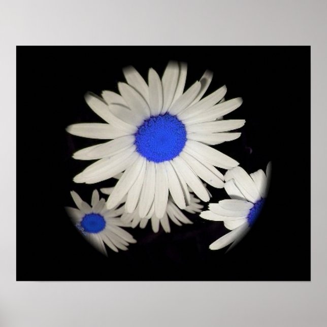 Poster Faisceaux flottants (Devant)