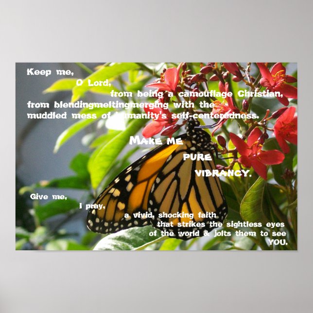 Poster Faites-moi une vibrité pure (Devant)