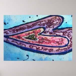 Poster Faith Heart Imprimer