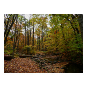 Poster Fall Creek à Laurel Hill State Park Pennsylvania