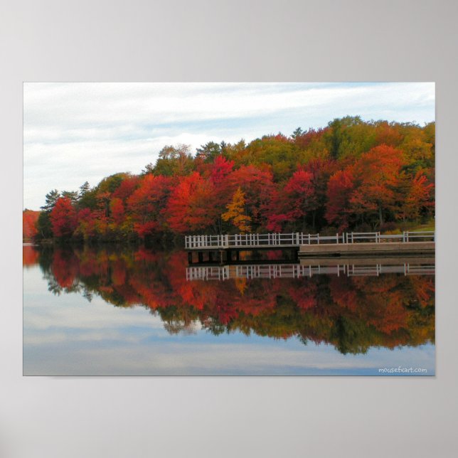 Poster Fall Foliage Print (Devant)