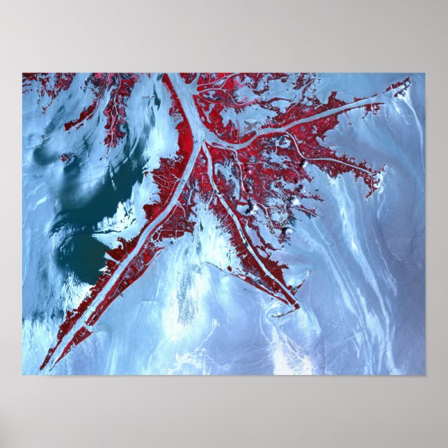 Poster False color satellite (Devant)