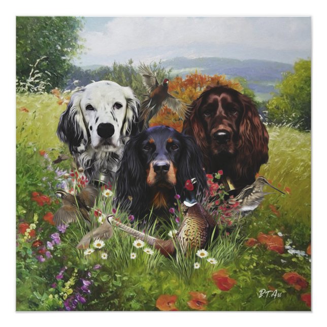 Poster Famille Setters (Devant)