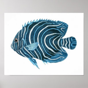Poster Fanciical Coral Reef Blue Fish Art Imprimer