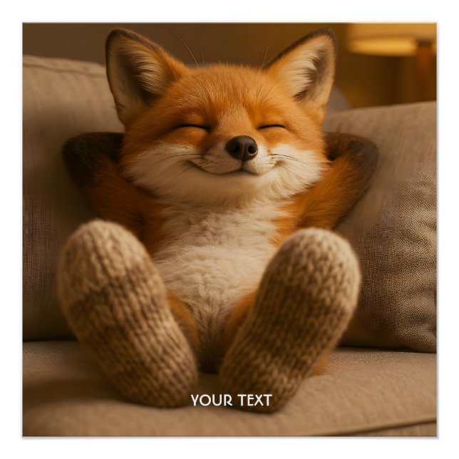 Poster Fantasy Cute Fox And Socks (Devant)
