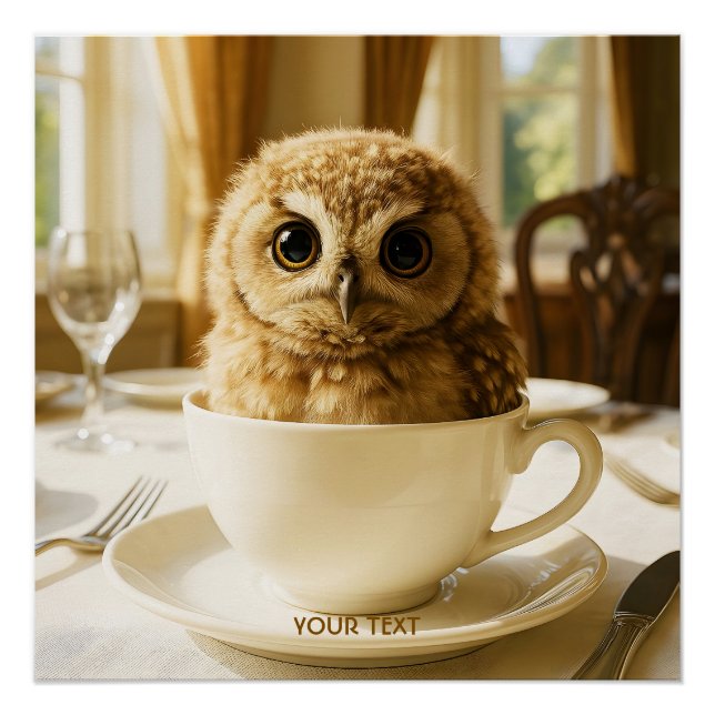 Poster Fantasy Cute Tea Owl Baby (Devant)