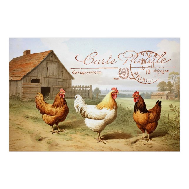 Poster Farmhouse Chicken Grange Hen Bird Postmark (Devant)