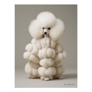Poster Fashion Show, Poodle Dog 02 - Jonathan Bonheur