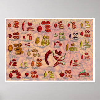 Poster Fatalii's Split Chile Peppers !