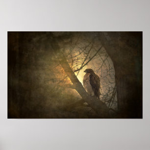 Poster faucon sur branche d'arbre