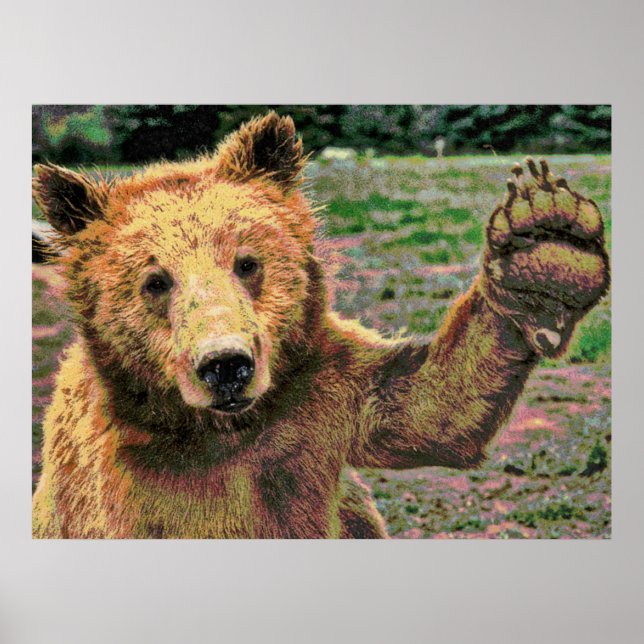 Poster Faune 15 floues (Devant)