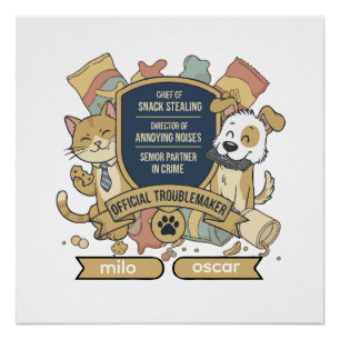 Poster Fauteur de Troubles Officiel   Drôles de Partenair