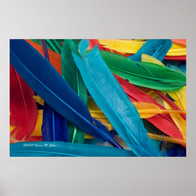 Poster Featherly (Devant)