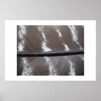 Poster Féatherphotographie 007