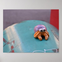 Feelin' Crabby Crab NYC Urban Street Photographie
